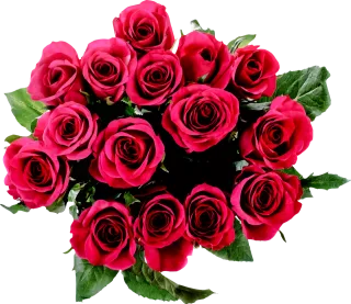 Flora Floral Flower Stickdatei