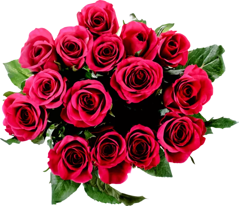 Flora Floral Flower Stickdatei – Blumen