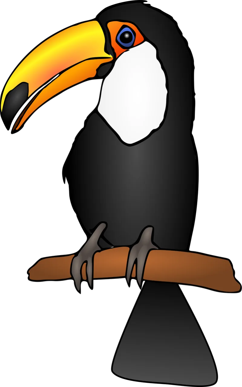 Animals Bird Cartoon Stickdatei – Natur