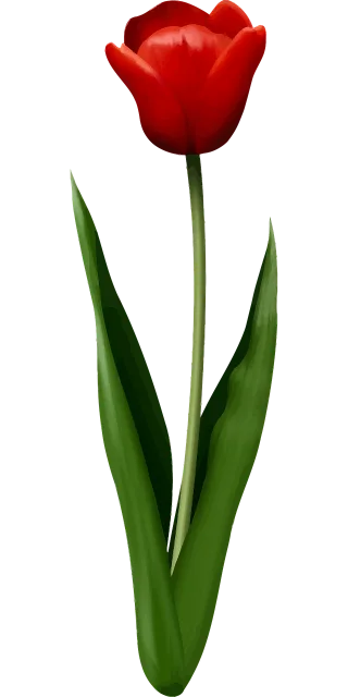Floral Flower Leaf Stickdatei