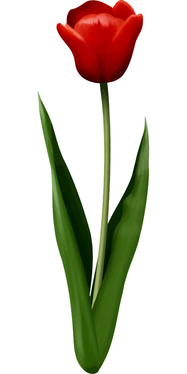 Floral Flower Leaf Stickdatei – Blumen