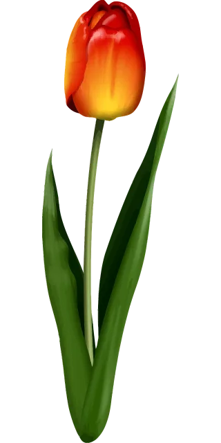 Floral Flower Nature Stickdatei