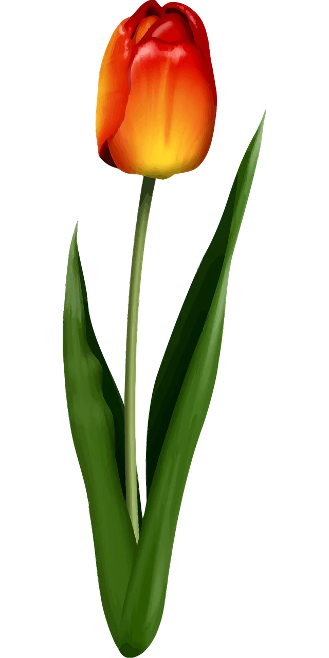 Floral Flower Nature Stickdatei – Blumen
