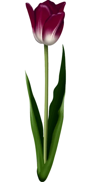 Floral Flower Leaf Stickdatei