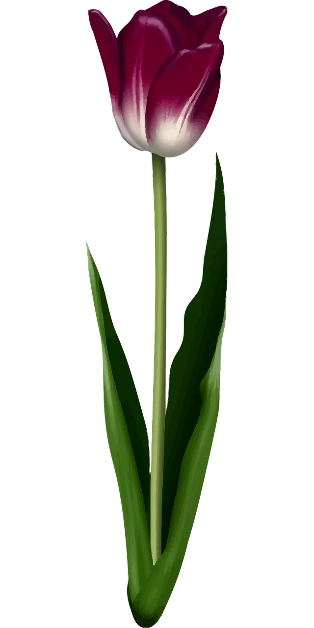 Floral Flower Leaf Stickdatei – Blumen