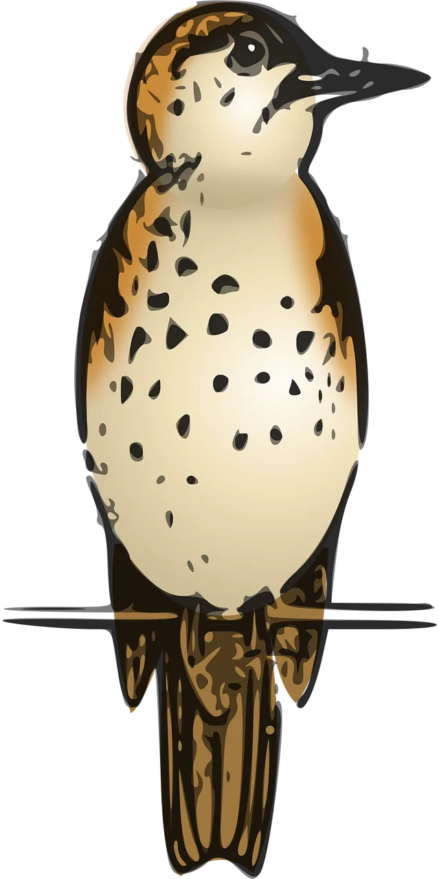 Animal Nature Bird Stickdatei – Tiere