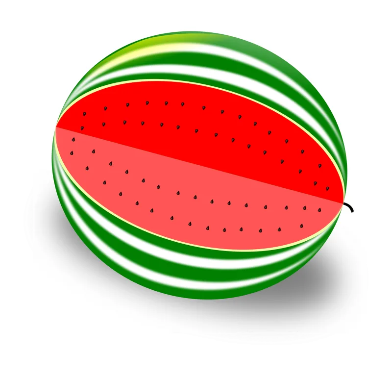 Watermelon Fruit Melon Stickdatei – Essen & Trinken