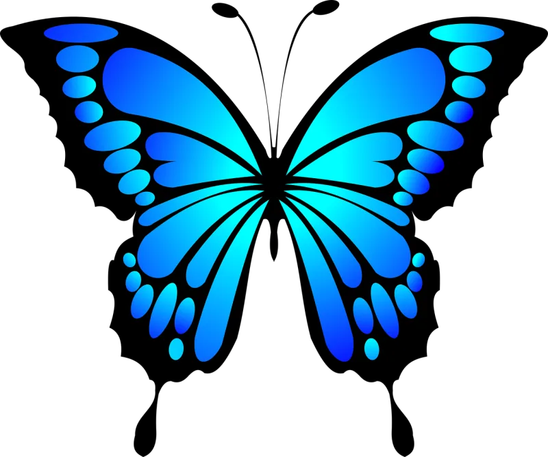 Butterfly Insect Animal Stickdatei – Tiere