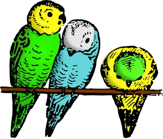 Animal Bird Nature Stickdatei