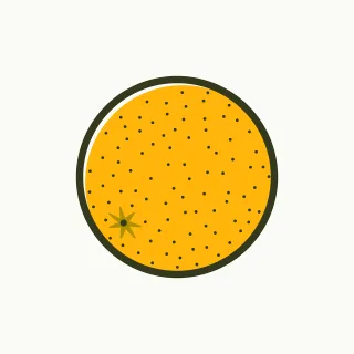 Orange Vitamin Vitamins Stickdatei – Essen & Trinken