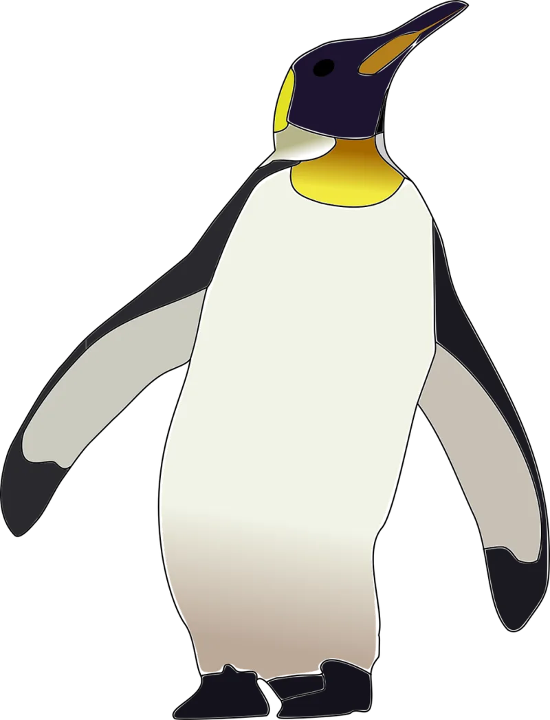 Emperor penguin Penguin Bird Stickdatei – Tiere