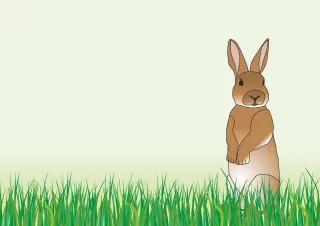Rabbit Easter Spring Stickdatei
