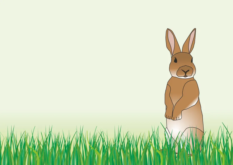 Rabbit Easter Spring Stickdatei – Tiere
