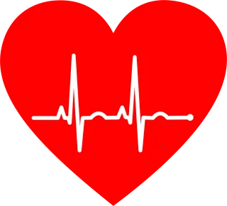 Ekg Electrocardiogram Heart Stickdatei