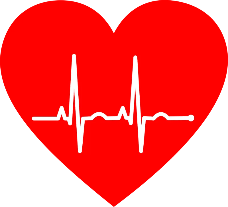 Ekg Electrocardiogram Heart Stickdatei – Herzen & Liebe