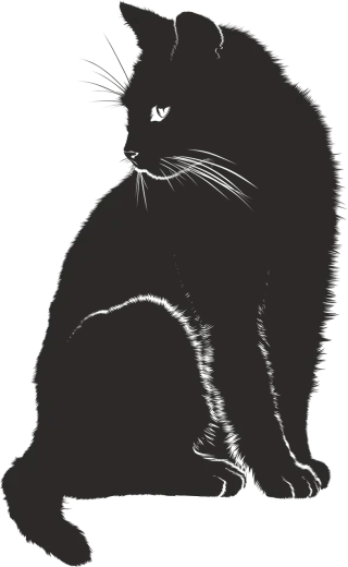 Cat Pet Shadow Stickdatei