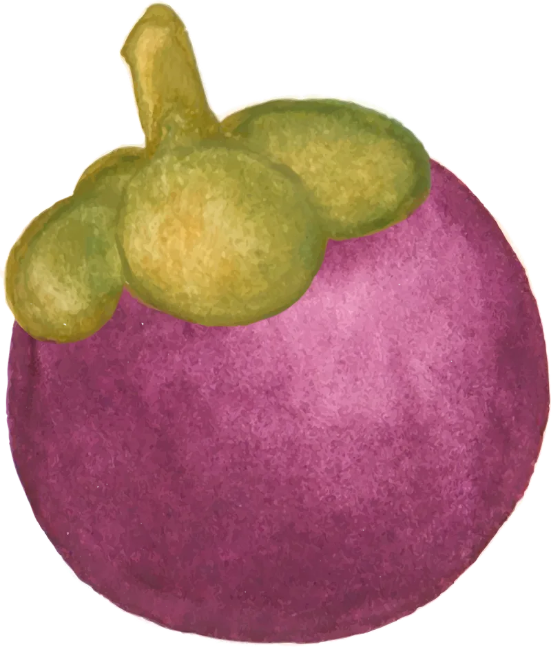 Mangosteen Tropical fruit Purple mangosteen Stickdatei – Essen & Trinken