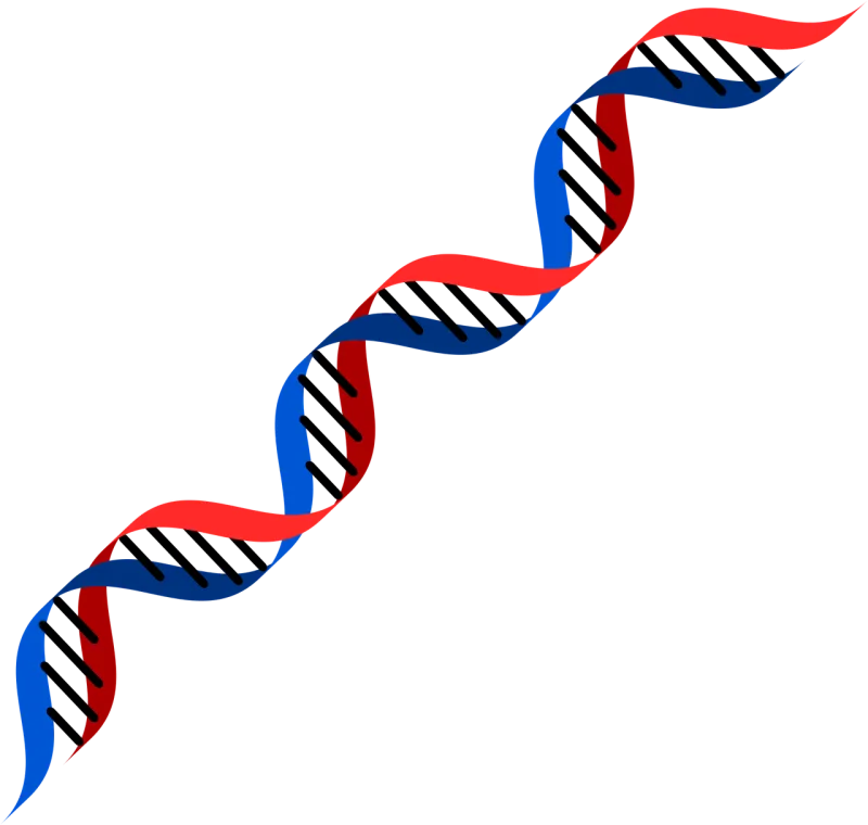 Dna Red Blue Stickdatei – Herzen & Liebe