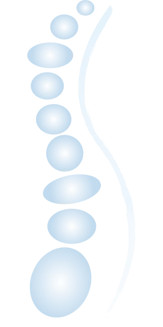 Spine Ellipses Circles Stickdatei – Natur