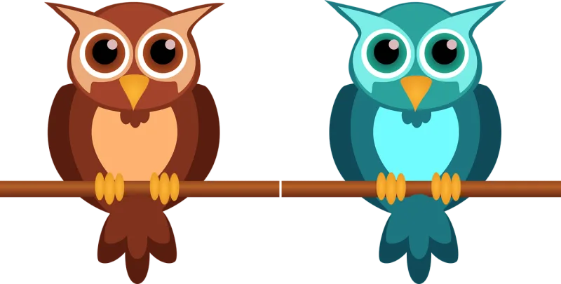 Owl Cute Nocturnal Stickdatei – Tiere