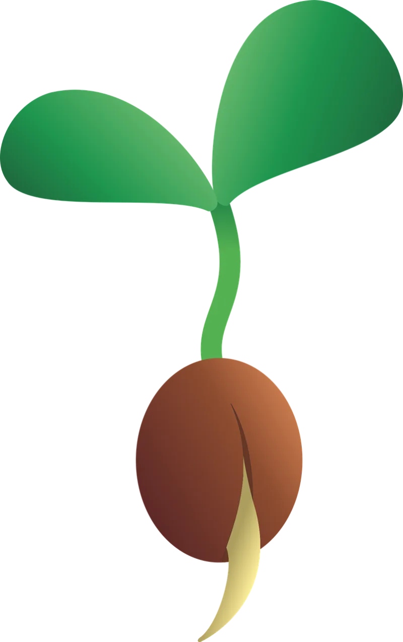 Seedling Seed Growth Stickdatei – Natur