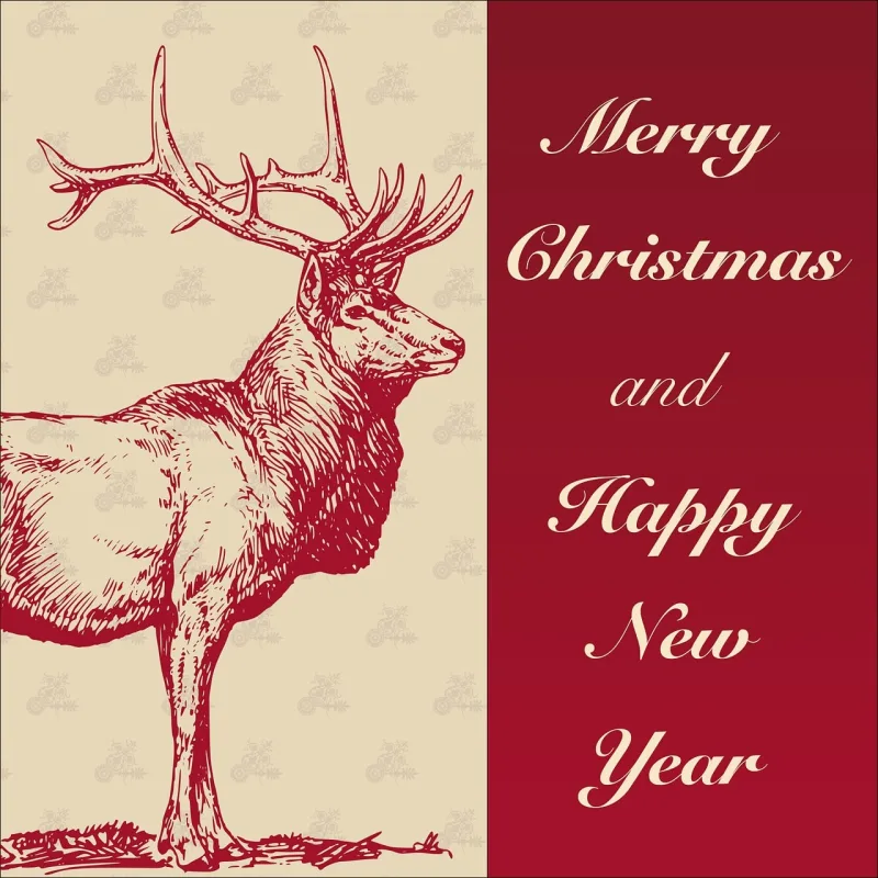 Holidays Wishes Christmas Stickdatei – Weihnachten