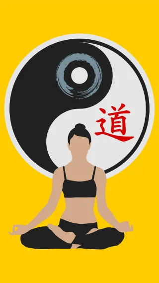Cat Yin yang Woman Stickdatei