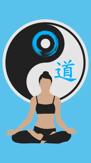 Cat Yin yang Woman Stickdatei