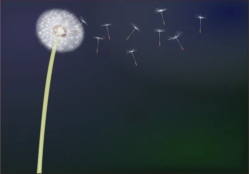 Dandelion Common dandelion Flower wallpaper Stickdatei – Blumen