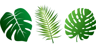 Leaves Nature Plants Stickdatei