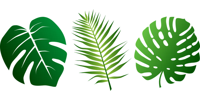 Leaves Nature Plants Stickdatei – Natur