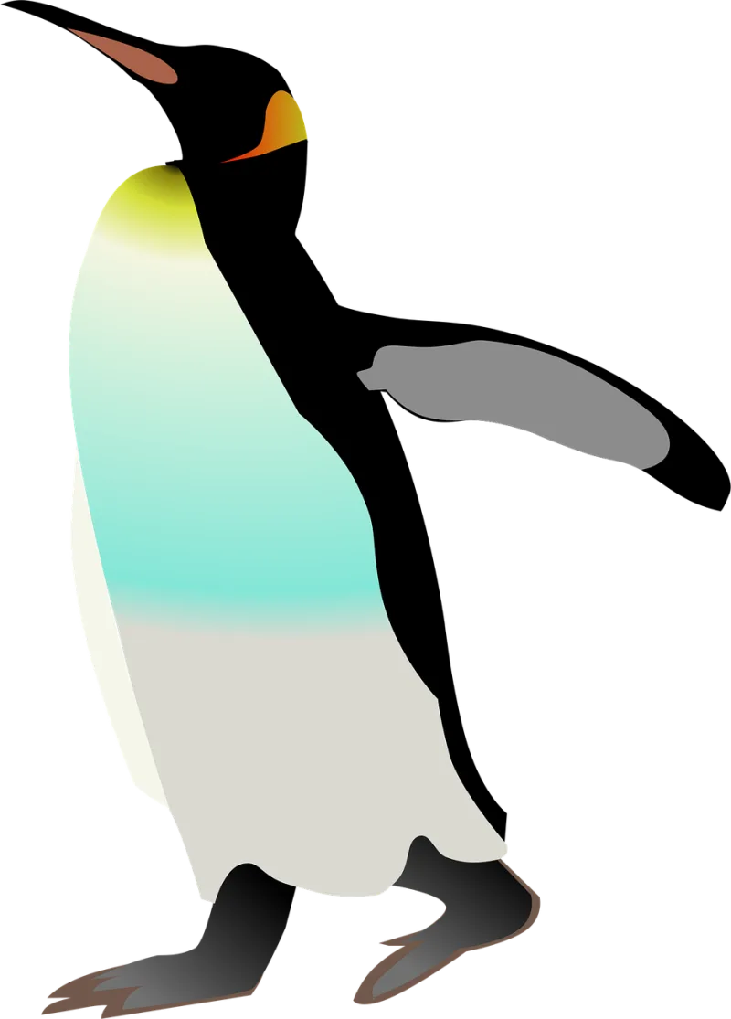 Emperor penguin Penguin Bird Stickdatei – Tiere