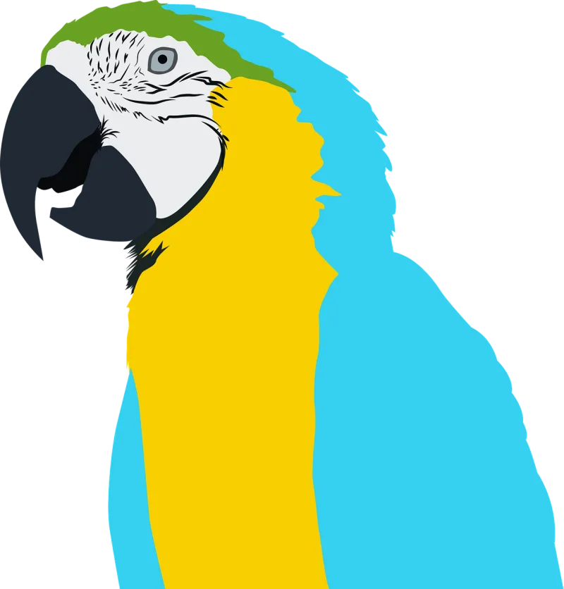 Parrot Bird Peak Stickdatei – Tiere