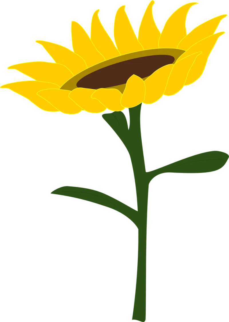 Sunflower Honey Sunflower field Stickdatei – Blumen