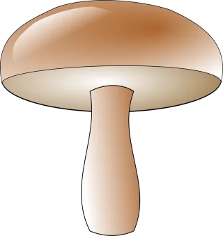 Mushroom Toadstool Fungus Stickdatei