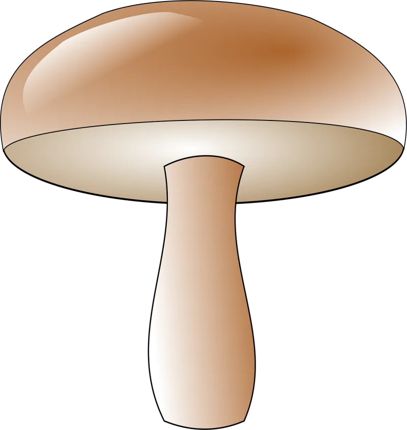 Mushroom Toadstool Fungus Stickdatei – Natur