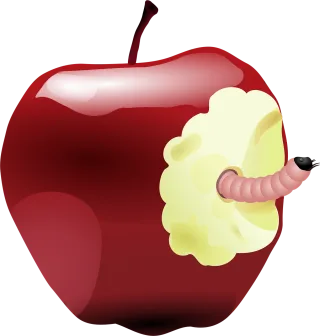 Apple Worm Bitten Stickdatei – Essen & Trinken