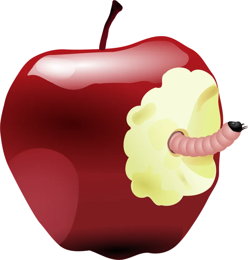 Apple Worm Bitten Stickdatei – Essen & Trinken