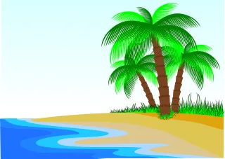 Palm trees Beach Coast Stickdatei