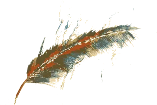 Feather Gentle Easy Stickdatei