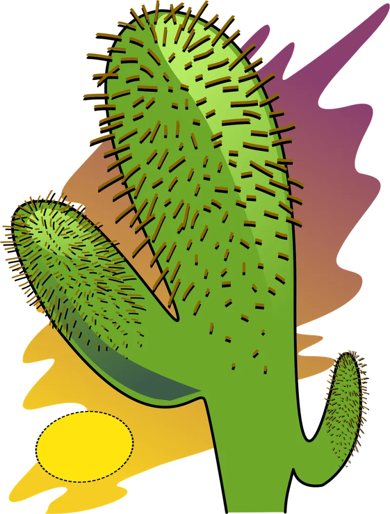 Cactus Desert Dry Stickdatei – Natur