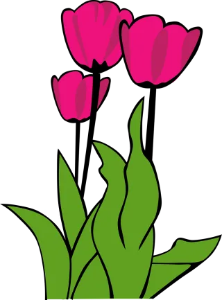 Tulips Nature Flower wallpaper Stickdatei