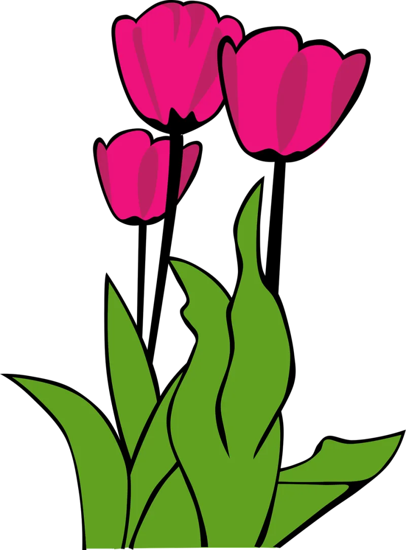 Tulips Nature Flower wallpaper Stickdatei – Blumen