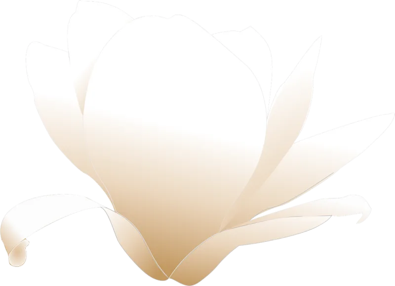 Magnolia Flower White Stickdatei – Blumen