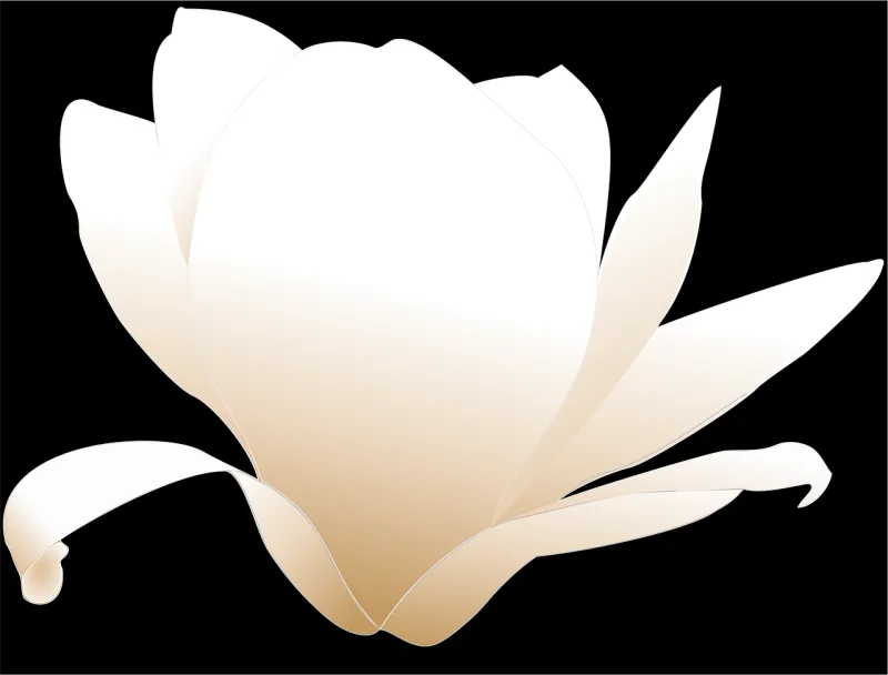 Magnolia Flower White Stickdatei – Blumen
