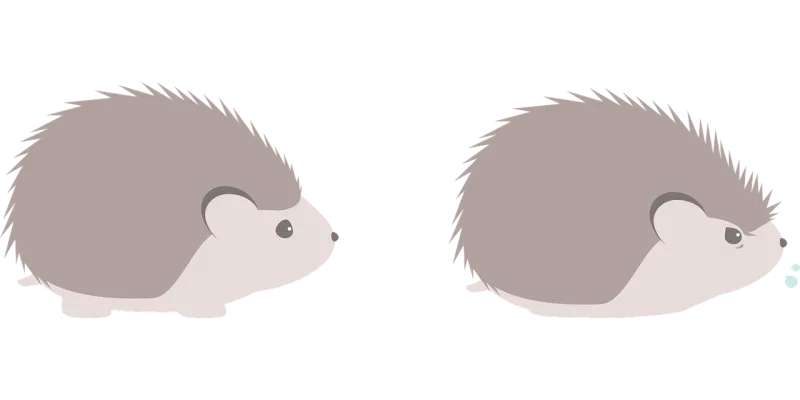 Hedgehog Animal Nature Stickdatei – Tiere