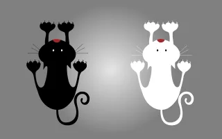 Cat Cats Kittens Stickdatei