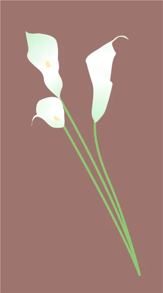 Flower Flower background Flower wallpaper Stickdatei