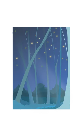 Forest Night Night sky Stickdatei