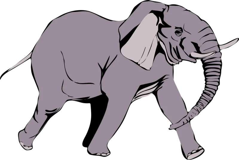 Elephant Wild Animal Stickdatei – Sport